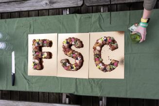 Buchs FSC Dag kage