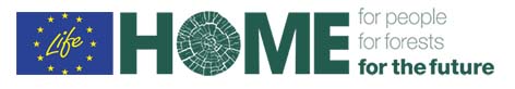 Home for the Future logo