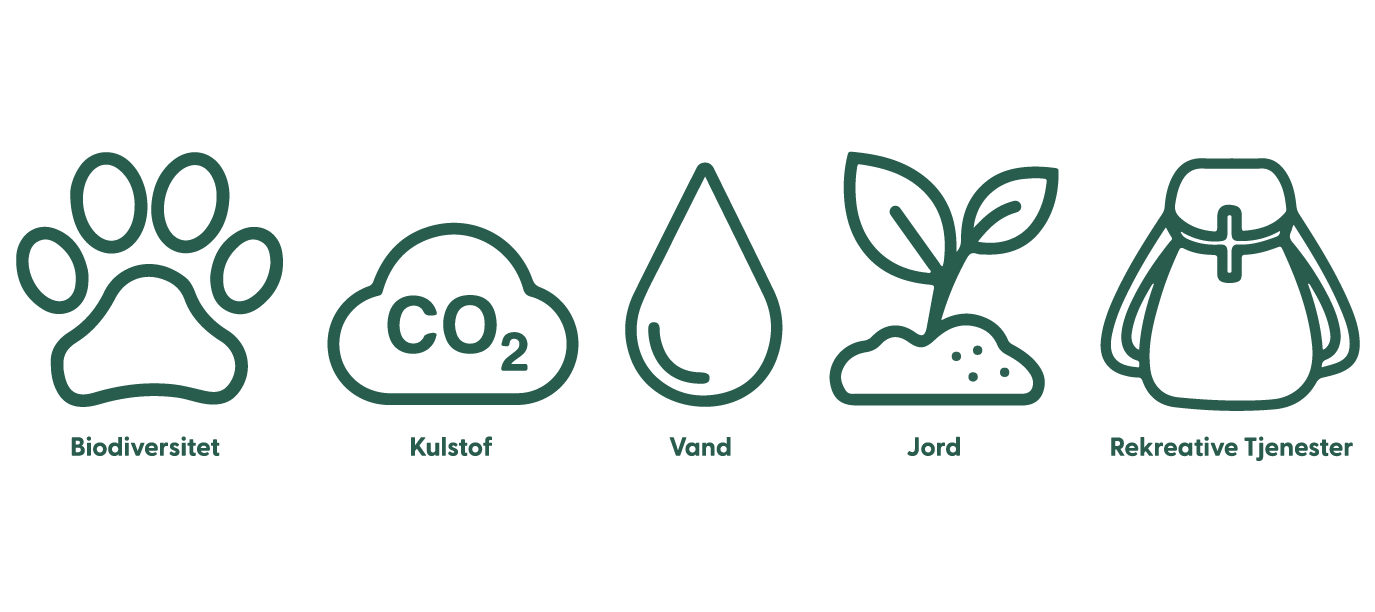 5 økosystemtjenester