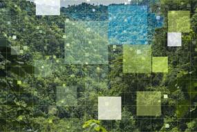 FSC Trace