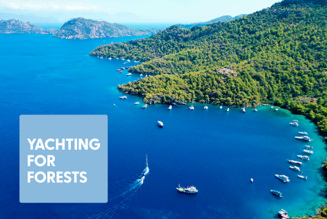 Yachting for Forests