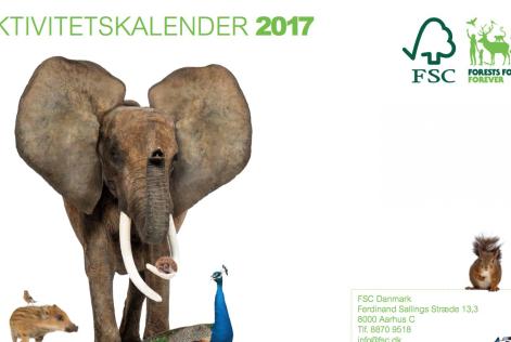 Aktivitetskalender