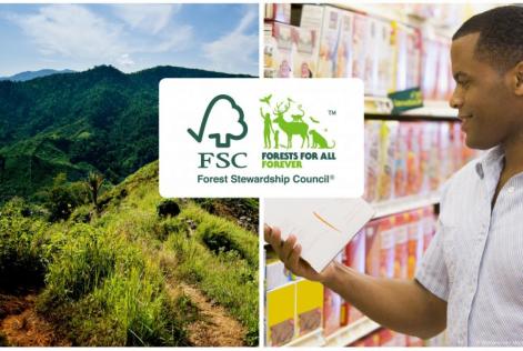 FSC Globescan webinar