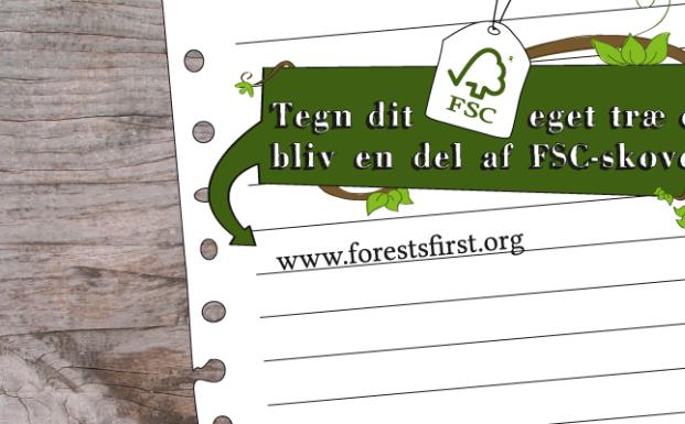 Forests First