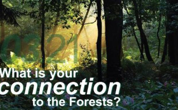 International Day of Forests