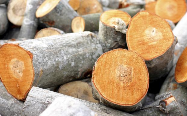 Naturstyrelsen påbegynder kontrollen af danske importørvirksomheder
