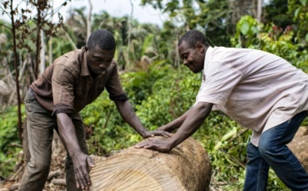 FSC-certificering forbedrer levevilkår i Congo-bassinet