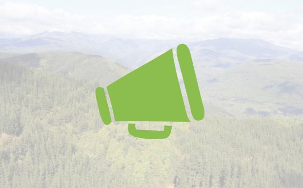 FSC Megafon