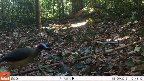 © Joeri Zwerts Utrecht University