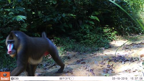 © Joeri Zwerts Utrecht University