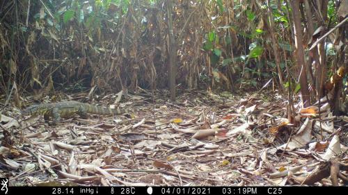 © Joeri Zwerts Utrecht University