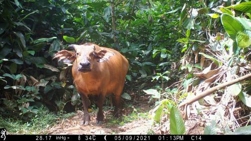 © Joeri Zwerts Utrecht University